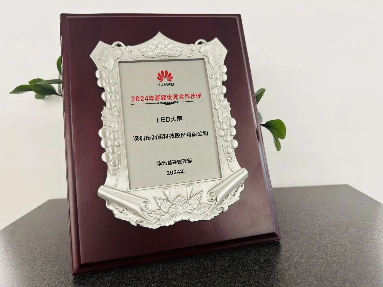 1734078341254381.jpg 392bbbc4d00d3117a59aa9ff28025021.jpg