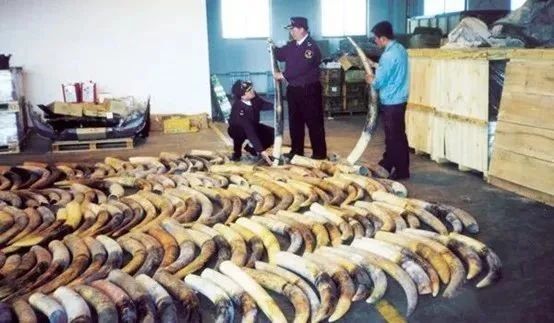 1744340779794997.jpg cab8e425525dbacdb846d9adc9e7499b.jpg